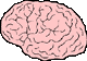 Human Brain